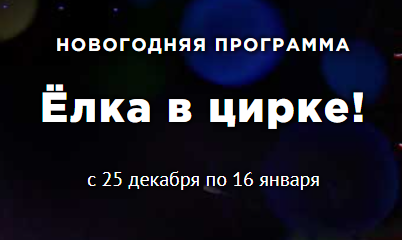Билеты на новогоднее цирковое шоу "Ёлка в цирке" со скидкой 20% для многодетных семей!